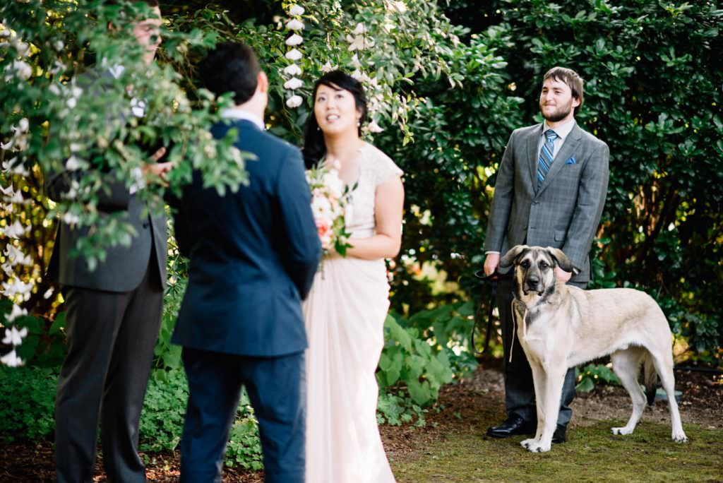 Dunn Gardens Weddings Seattle: Kathryn and Max's Dog Themed Wedding (66)