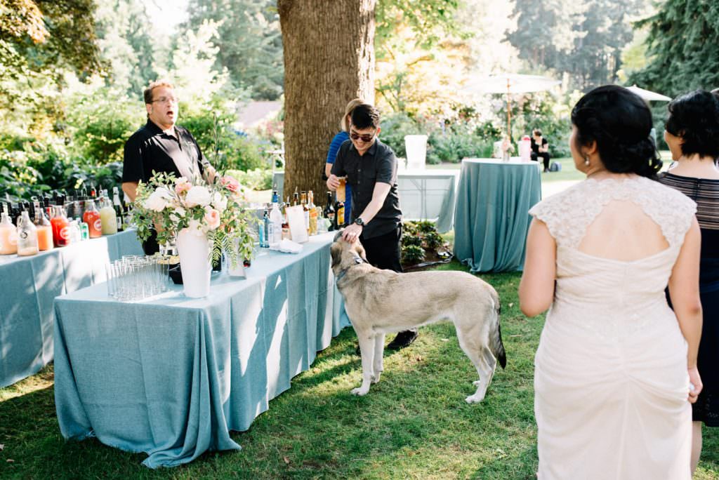 Dunn Gardens Weddings Seattle: Kathryn and Max's Dog Themed Wedding (85)