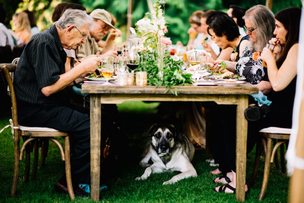 Dunn Gardens Weddings Seattle: Kathryn and Max's Dog Themed Wedding (103)