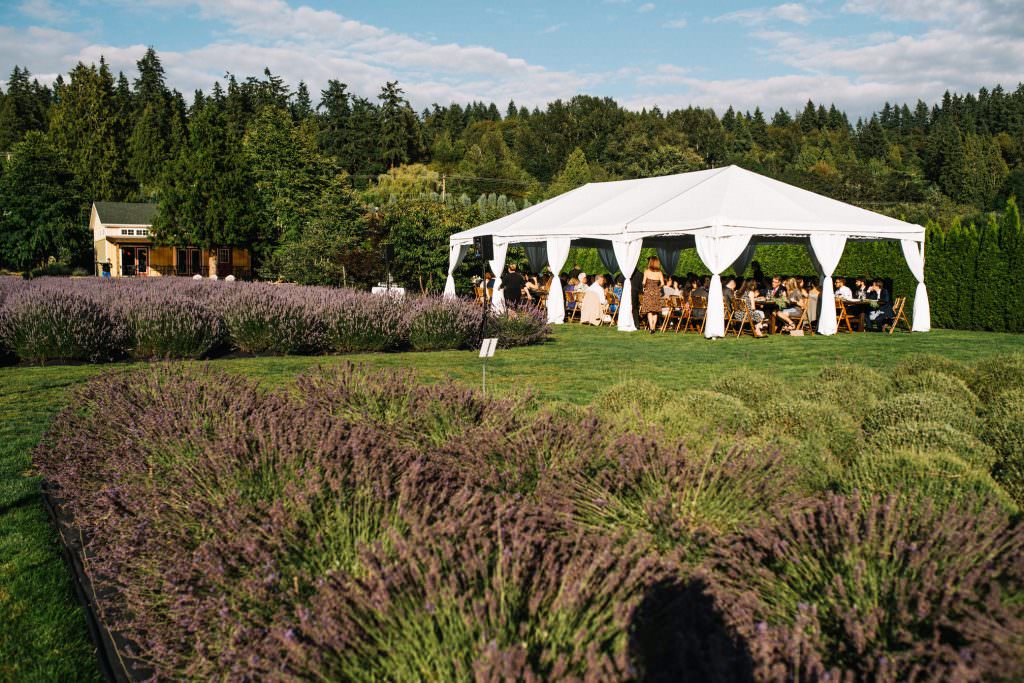 The reception tent at Zoe and Daniel embrace and share a quiet moment together at their wedding at Zoe and Daniel walk through the lavender fields of Zoe and Daniel walk down the aisle at their wedding at Zoe and Daniel share their first kiss as husband and wife at Woodinville Lavender Farm, Washington, summer 2016