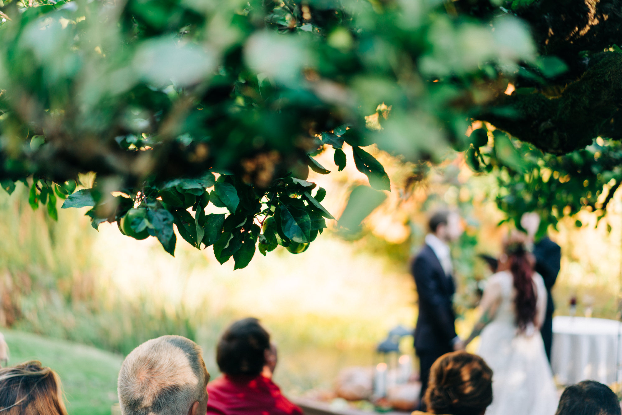 Seattle wedding photographers: Fall Wedding at Bella Luna Farms (39)