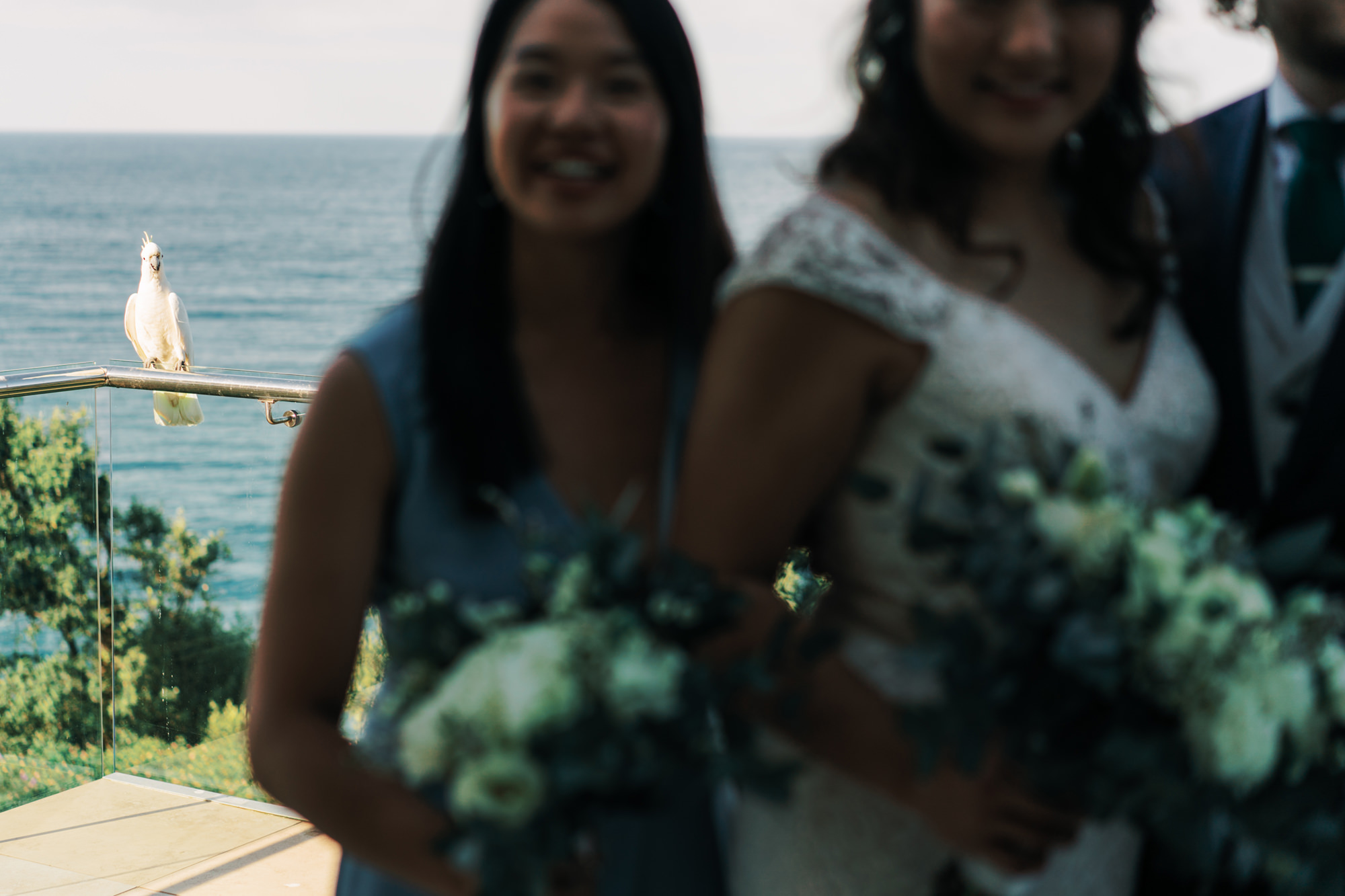 Destination Wedding Photographer Australia: Erica and Chris Romantic Seaside Wedding on Avalon Beach, Sydney