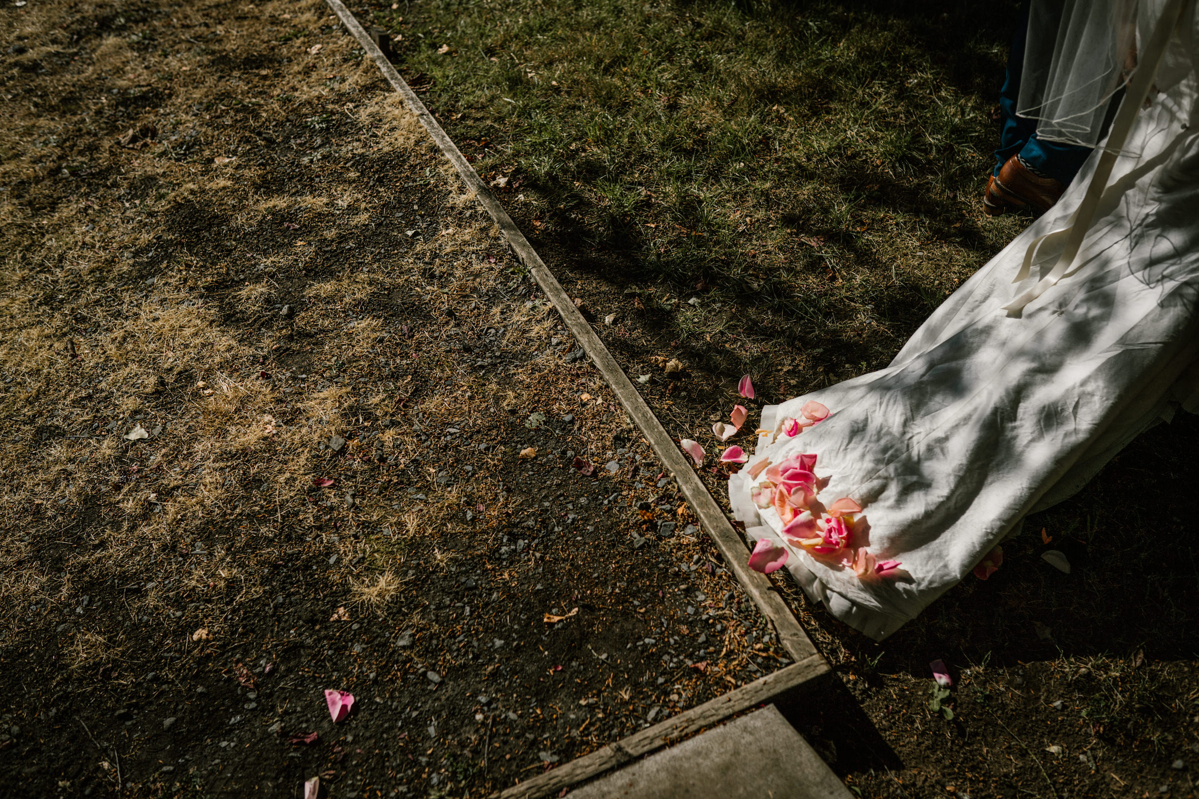Wayfarer Whidbey Island Wedding: Rose petals on the ground and on Sara's train after the wedding ceremony