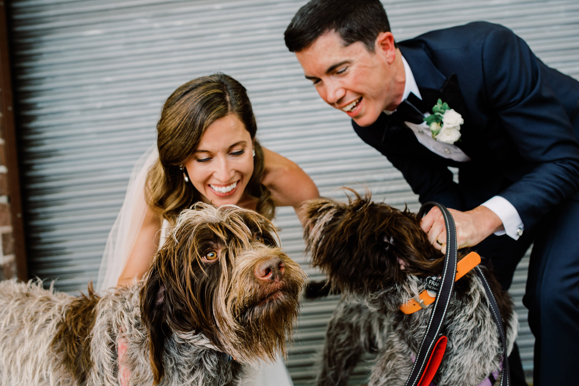 Seattle wedding photographer Jenn Tai: Tennie and Shane with their dogs