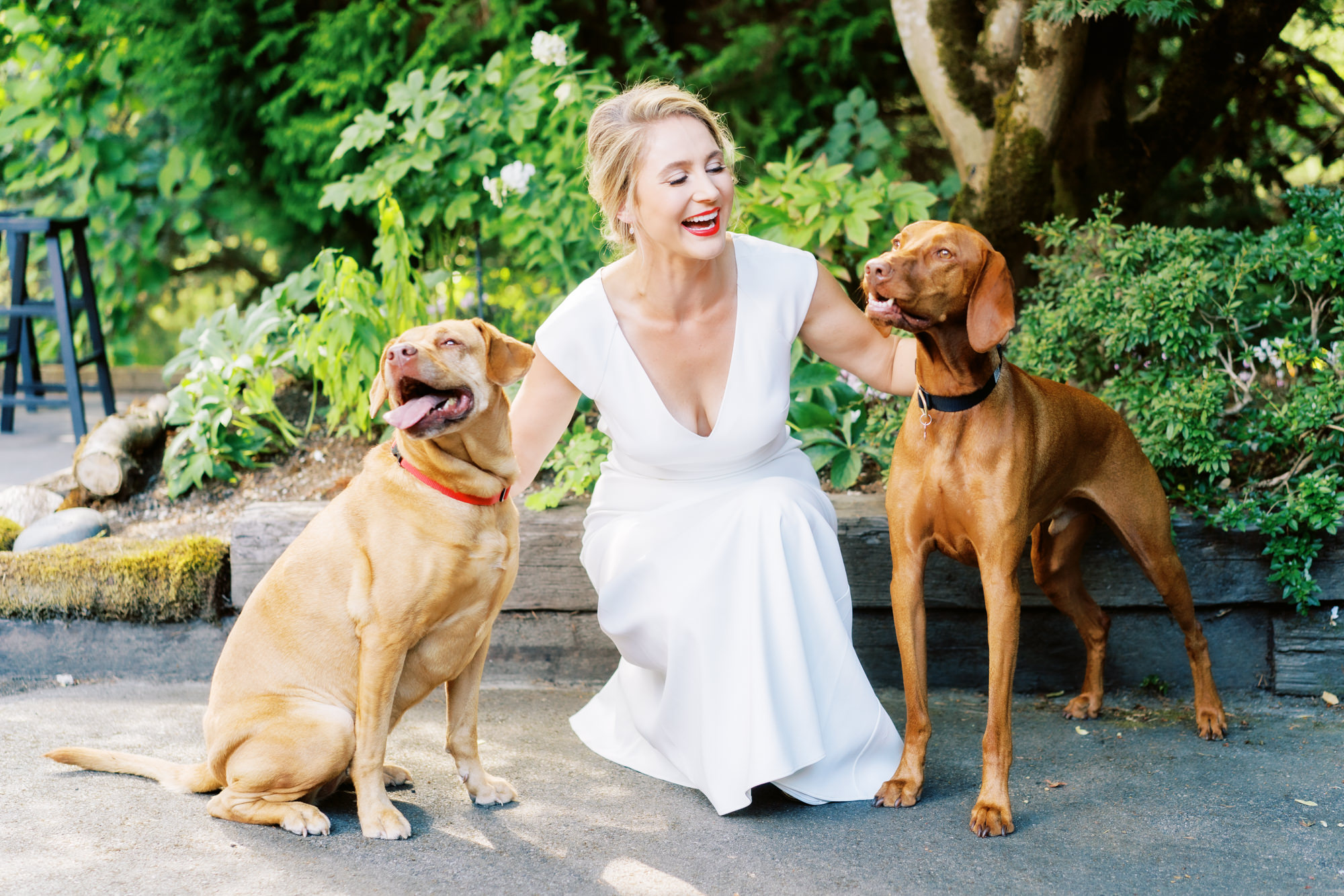 Seattle wedding with dogs: Kayley and her poorches at JM Cellars!