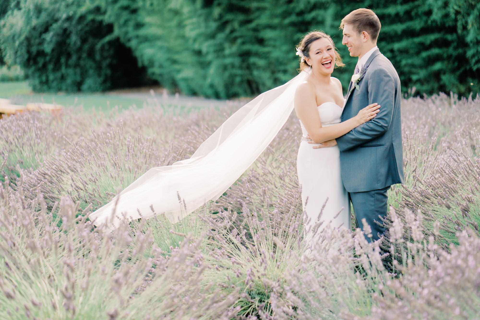 Woodinville Lavender Farm weddings: Lindsay and Andres wedding portrait