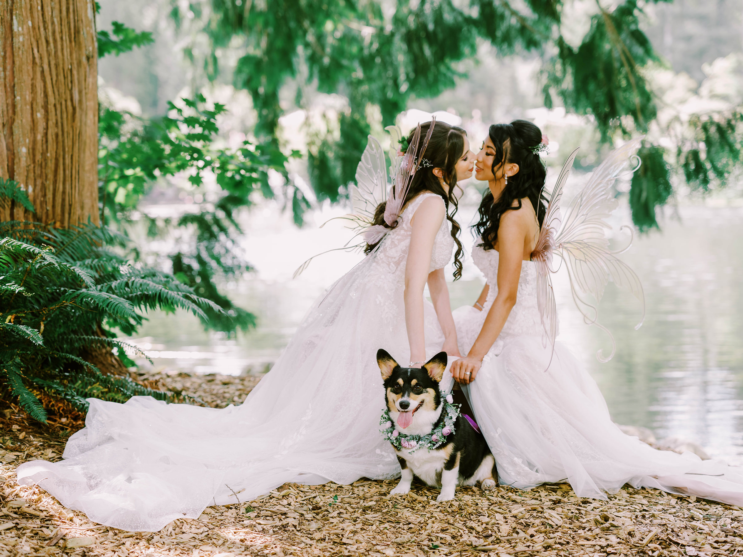 Megan and Erika's wedding photos with their sweet Corgi at Graybridge Venue in Snohomish WA, summer 2022