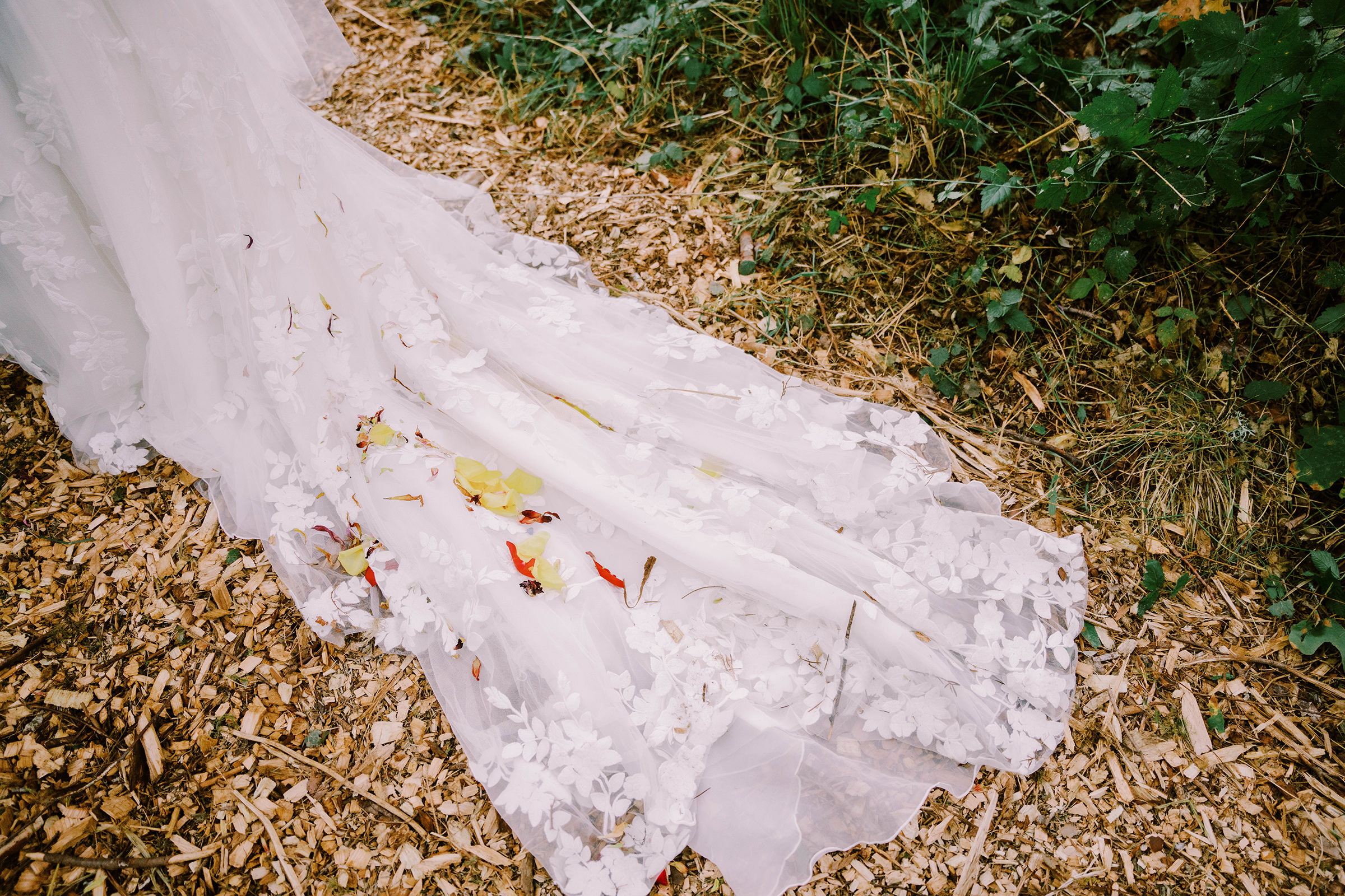 Annika's dress, filled with dried dahlia
