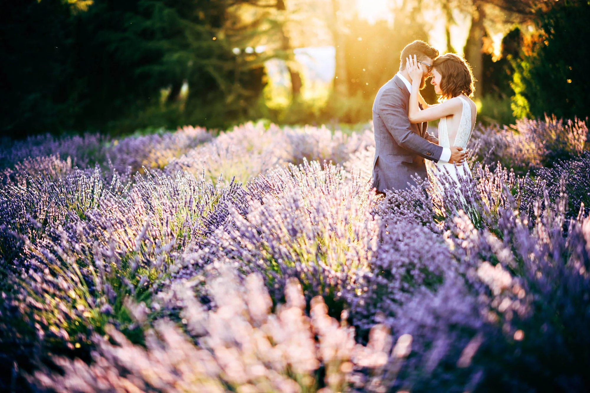 Woodinville Lavender Farm wedding venue Seattle Wedding Photographer JENN TAI